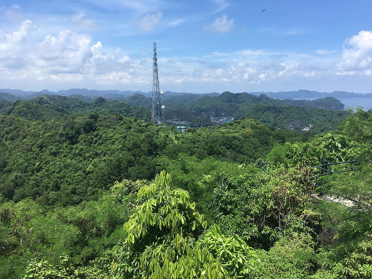 Elevated view of Cat Ba Island and surrounding limestone water