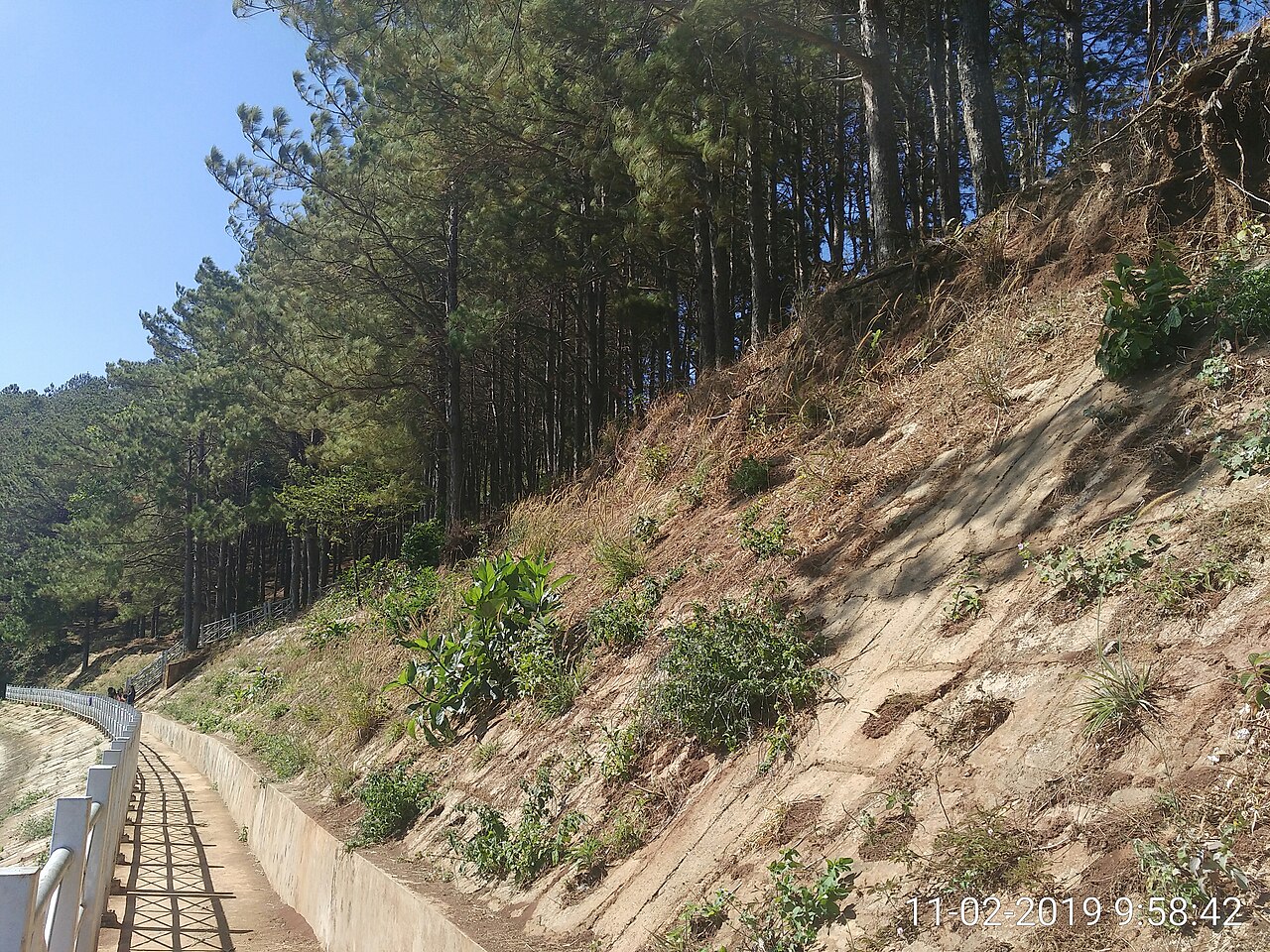 T’Nung volcanic crater lake surrounded by pine forests in Pleiku, Gia Lai