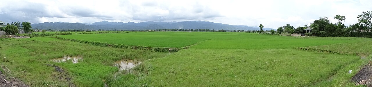 Lush green rice paddies and surrounding mountains of Muong Thanh valley in Dien Bien Phu