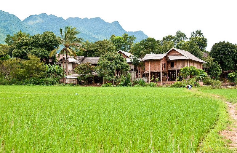Verdant rice paddies and stilt houses across the mountain valley of Mai Chau