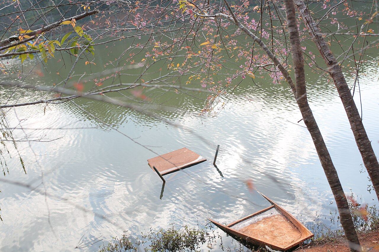 Pine forests and tranquil highland lake scenery at Dak Ke Lake in Mang Den
