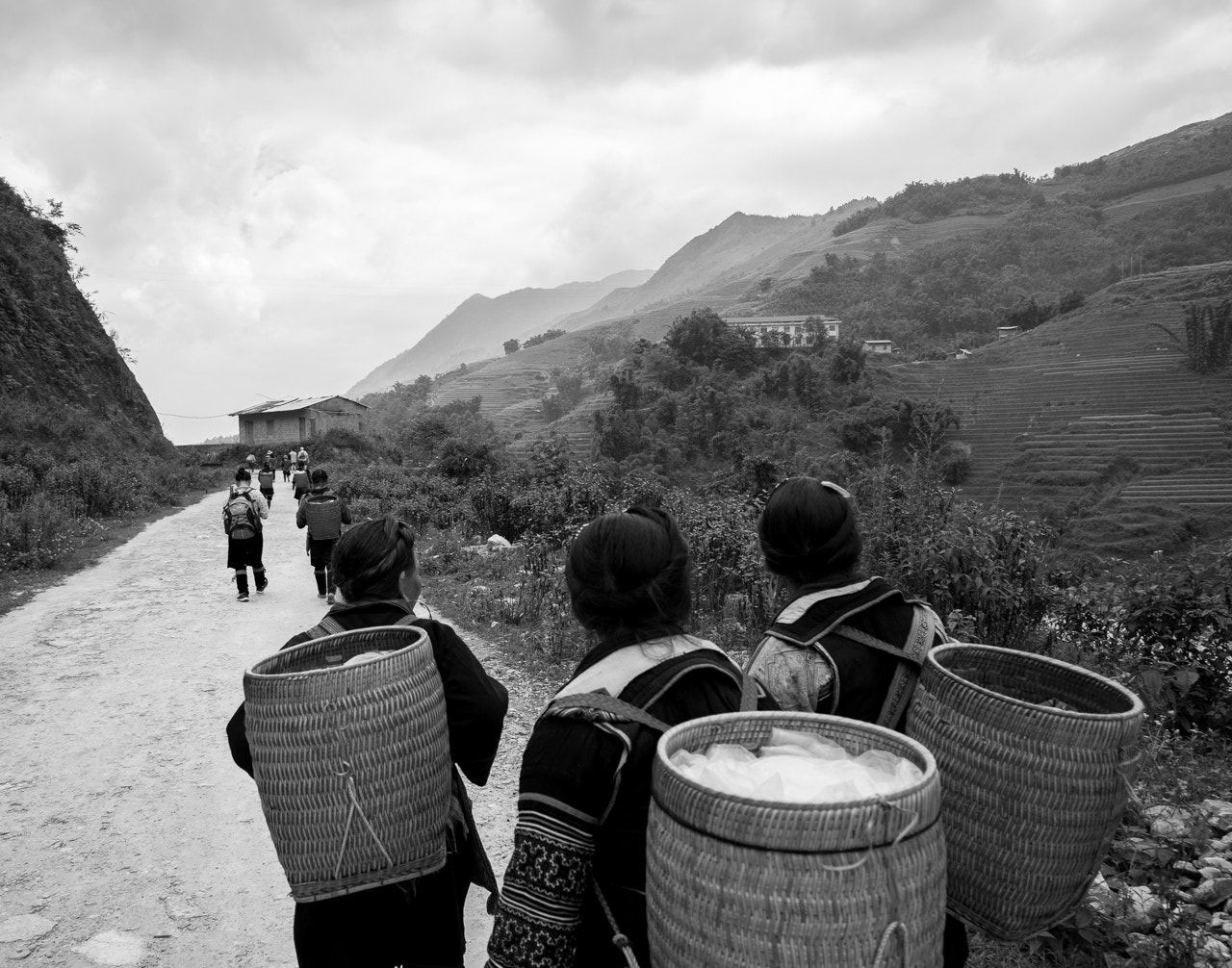 Scenic mist and mountain valley landscape surrounding Sapa in northern Vietnam
