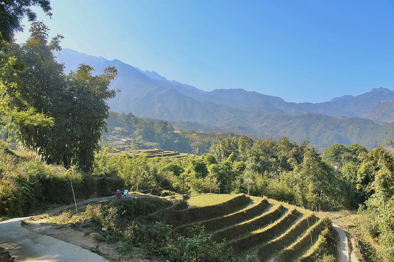 Verdant terraced rice paddies sculpted into the mountain ridges of northern Vietnam
